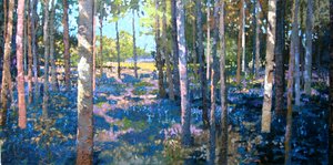 Bluebell Wood, 2009